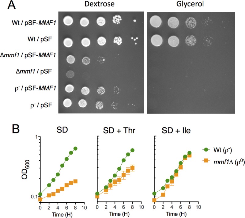 FIG 1 