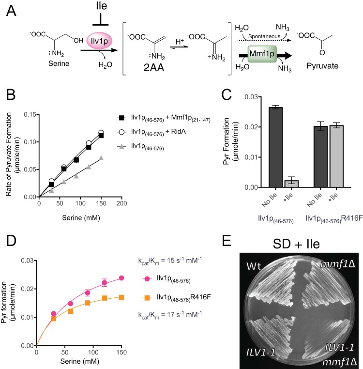 FIG 2 