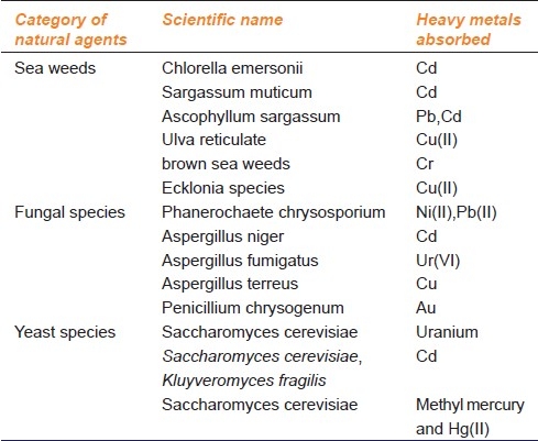 graphic file with name IJPharm-43-246-g005.jpg