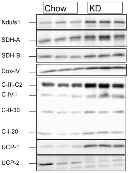 FIG 4