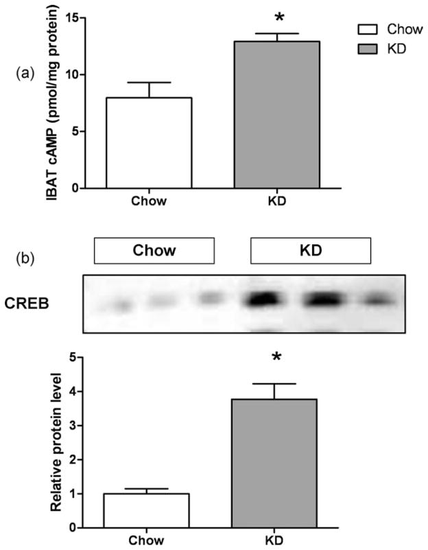 FIG 6