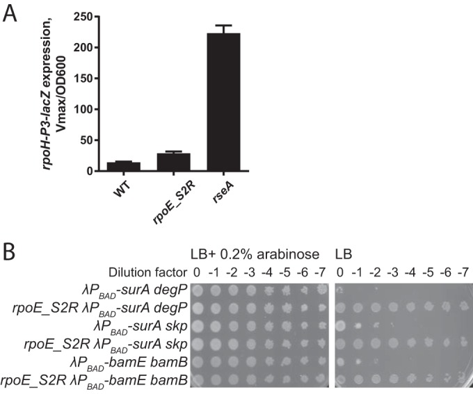 FIG 2