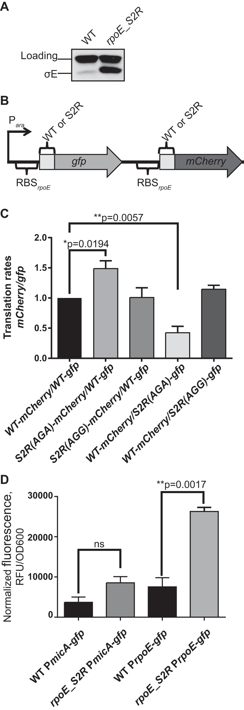 FIG 3