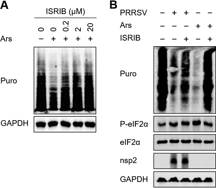 FIG 7