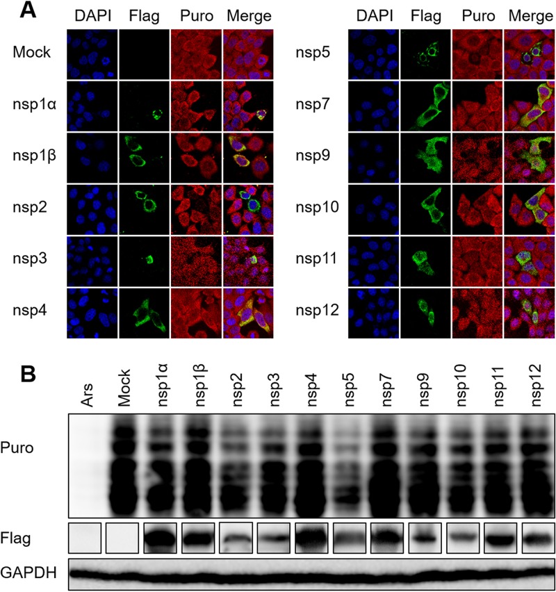 FIG 2