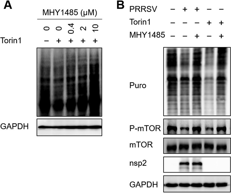 FIG 9