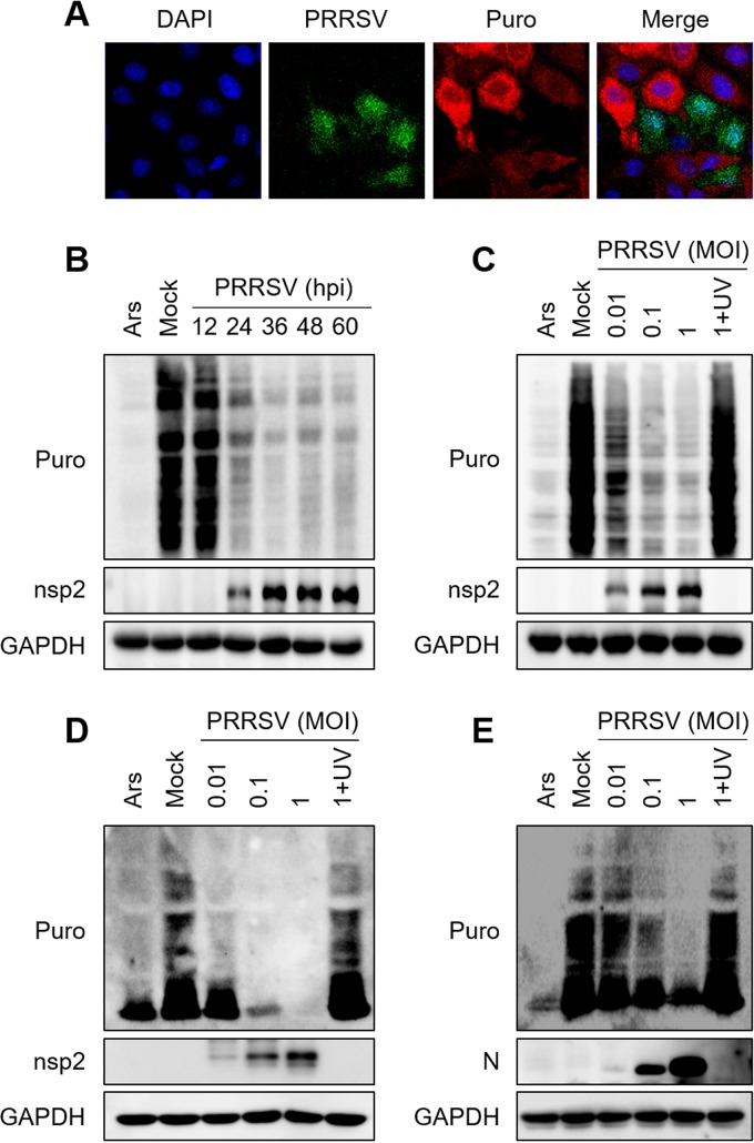 FIG 1