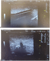 Fig. 3: