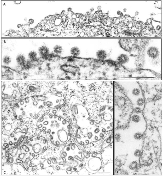 FIG. 7.