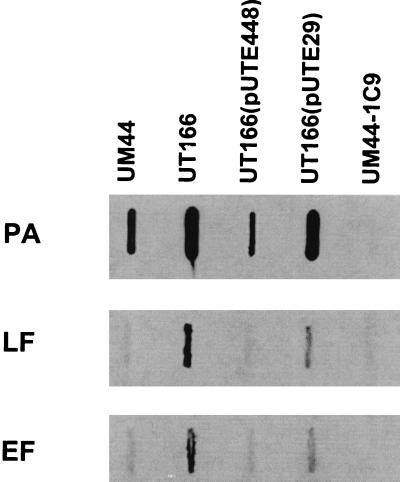 FIG. 5.