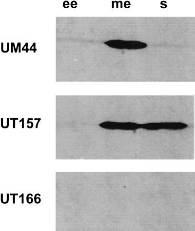 FIG. 8.