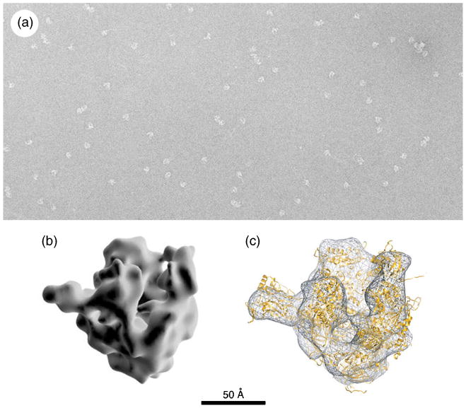 Fig. 13