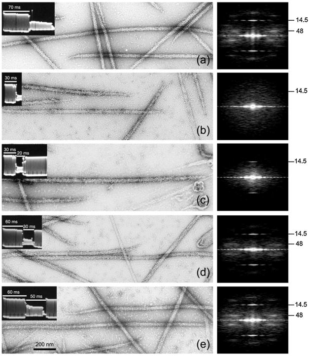 Fig. 10