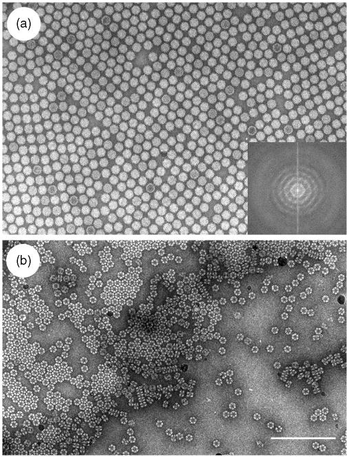 Fig. 14