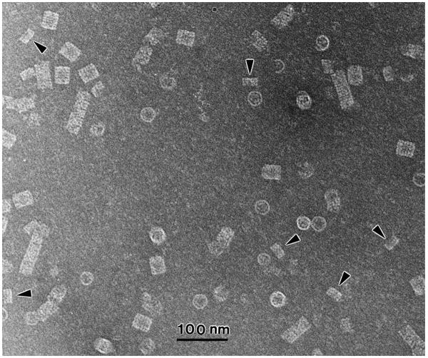 Fig. 15