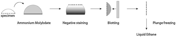 Fig. 11