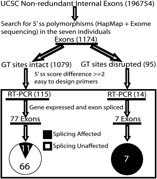 Figure 1.