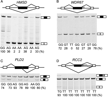 Figure 2.