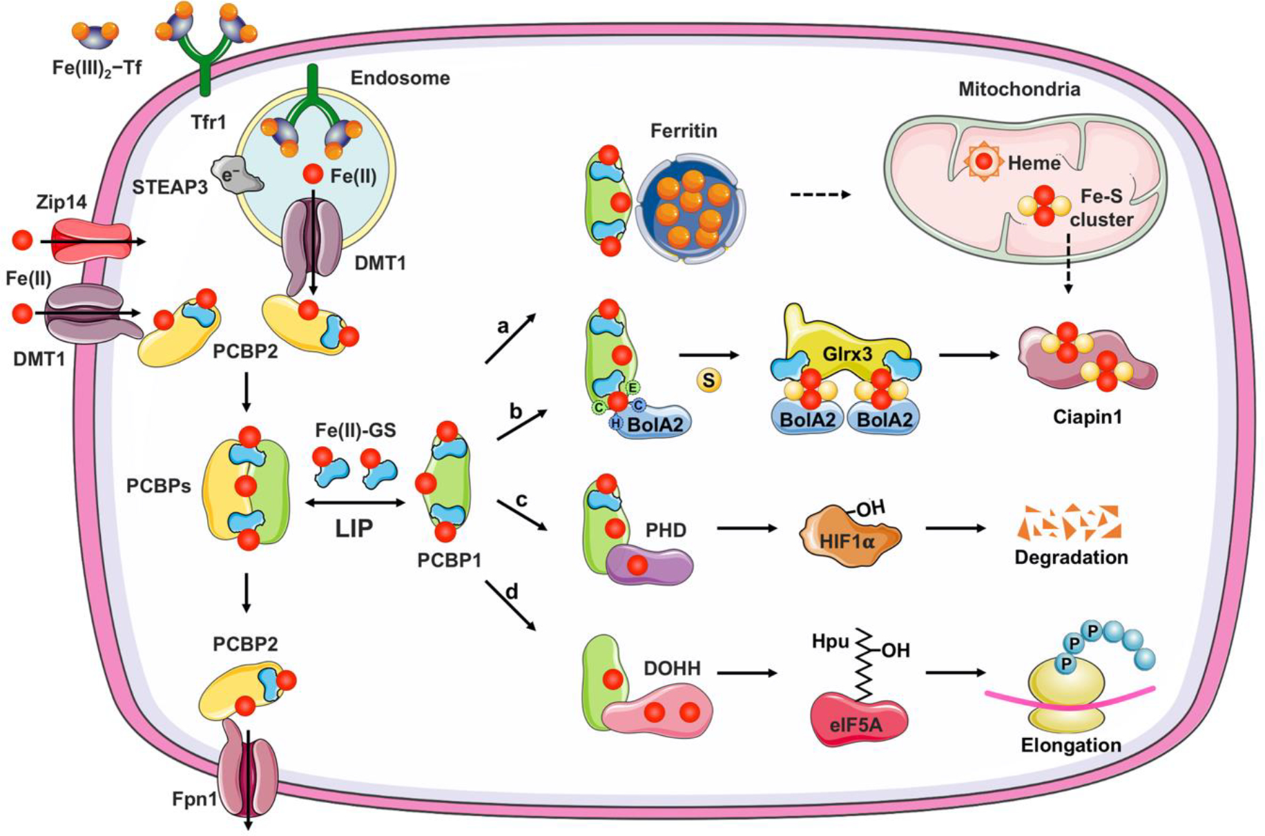 Figure 3.