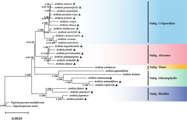 Fig. 6