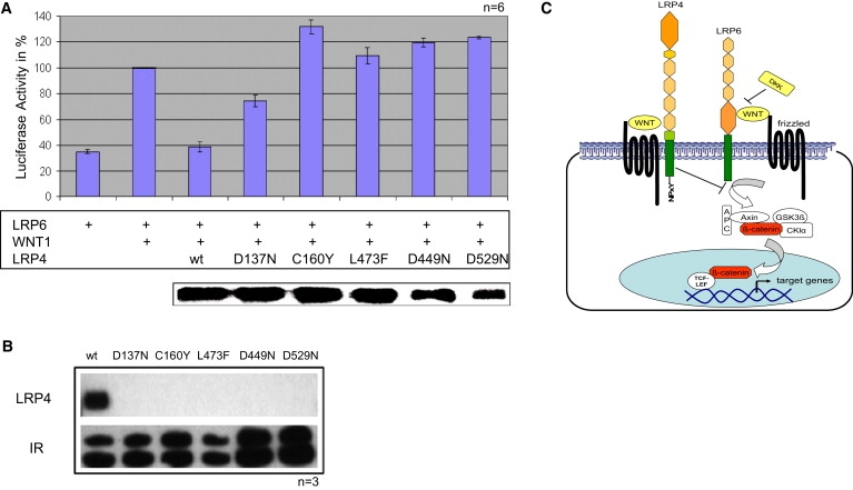 Figure 5