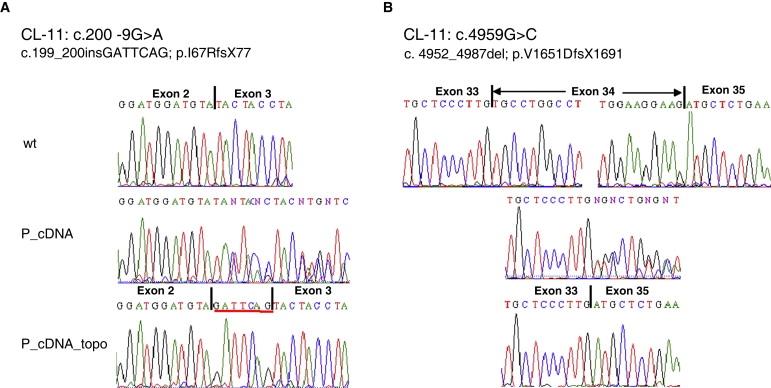 Figure 4