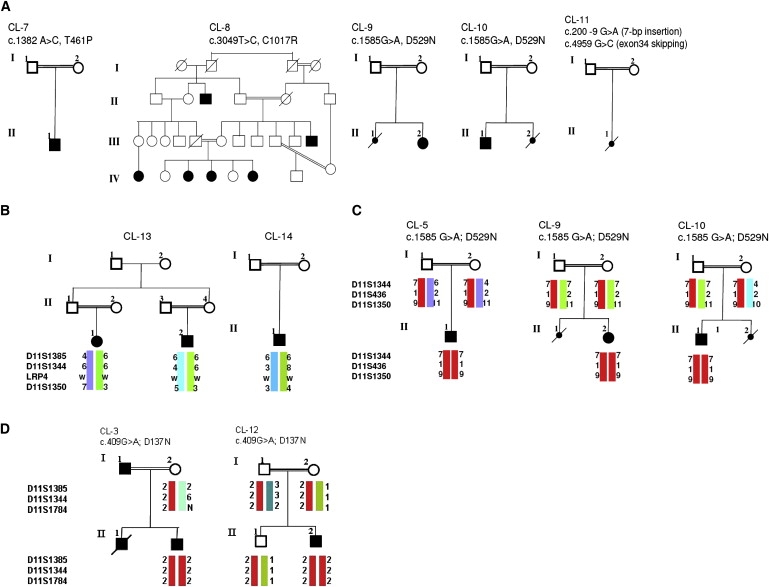 Figure 3