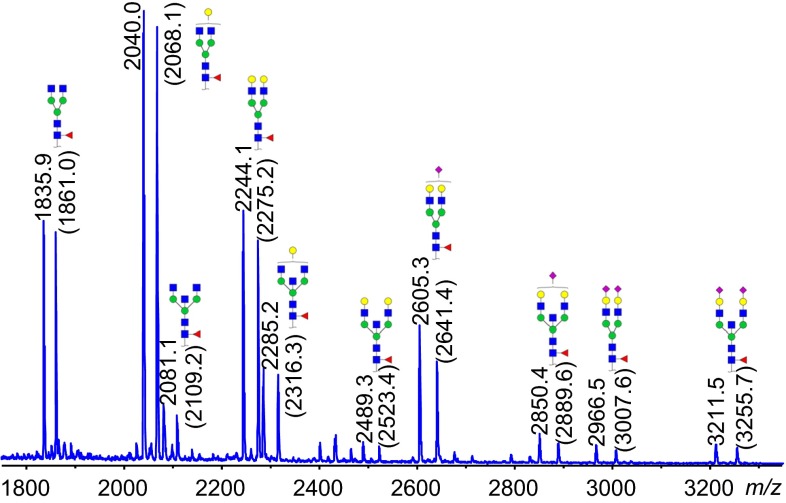 Fig. 2