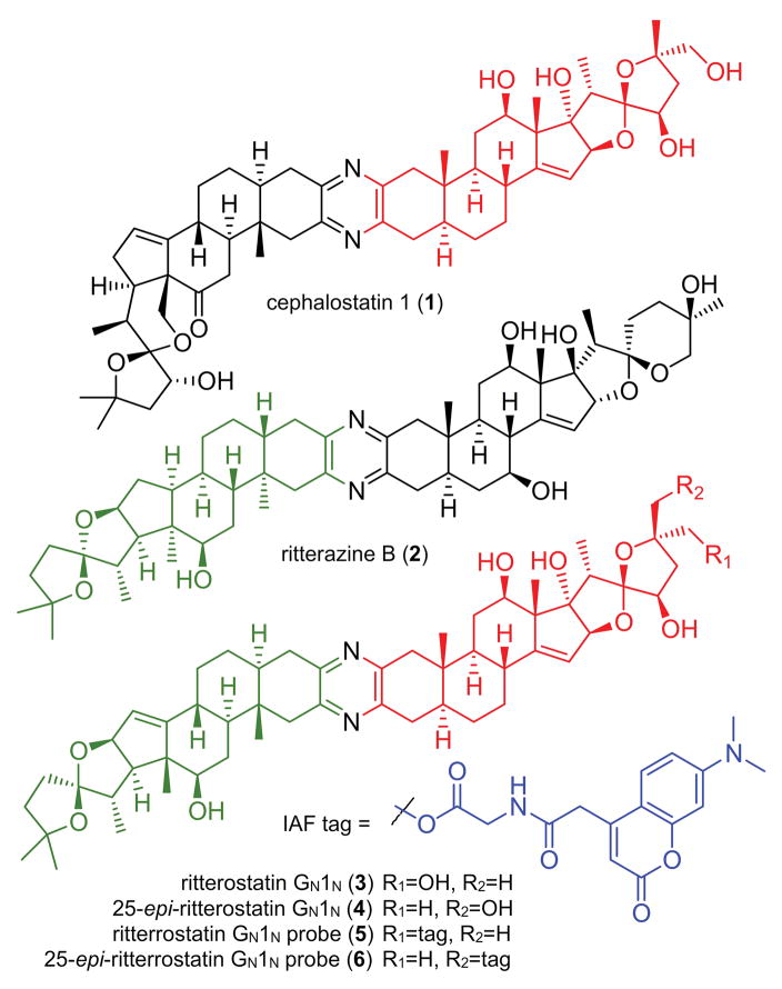 Figure 1