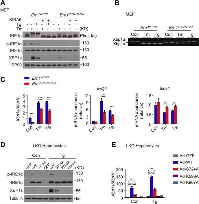 Figure 2