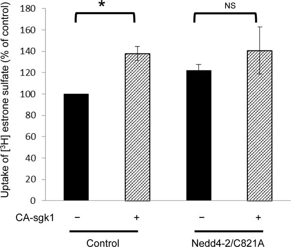 Fig. 9