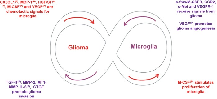 Fig. 2.