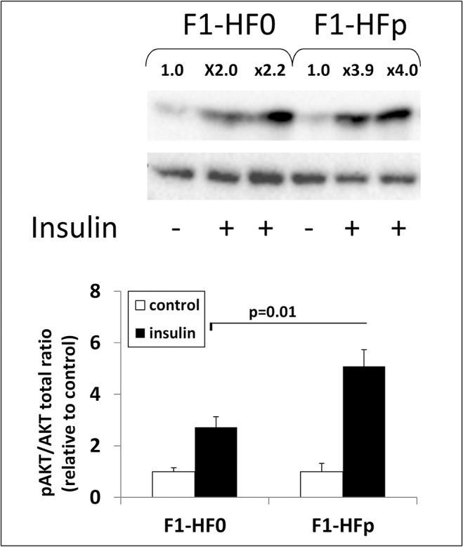 Fig 5