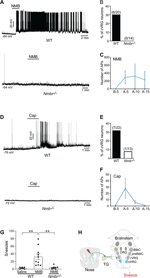 Figure 7: