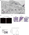 Extended Data Figure 2