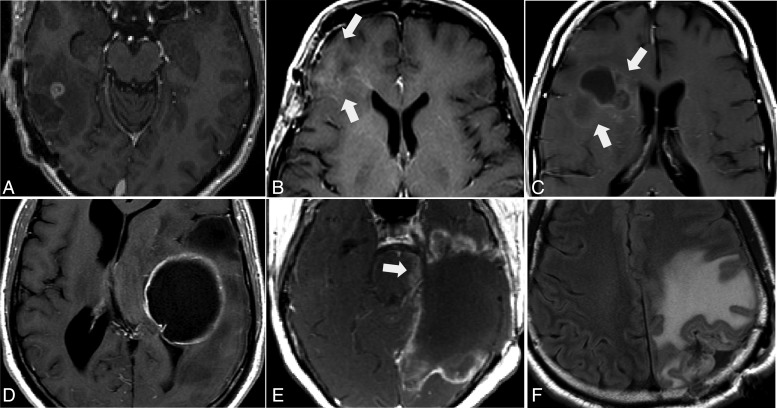 Fig. 2.