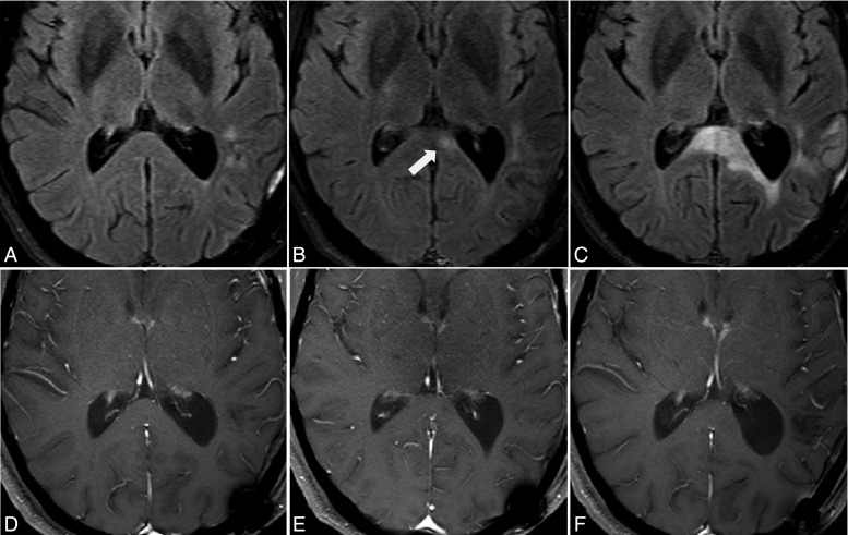 Fig. 5.