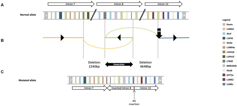 FIGURE 3