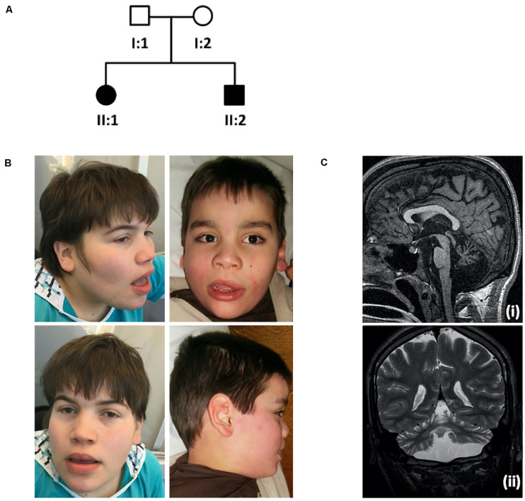 FIGURE 1