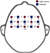 Fig. 1