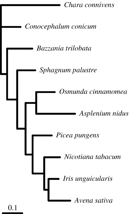 FIGURE 4.