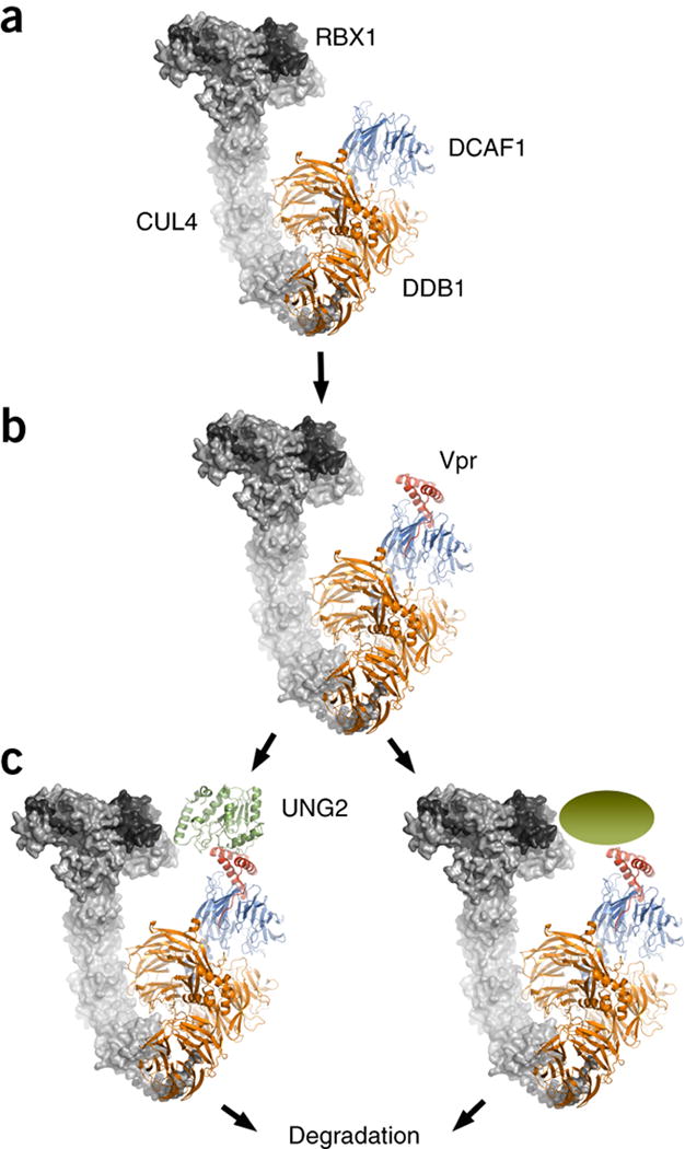 Figure 5