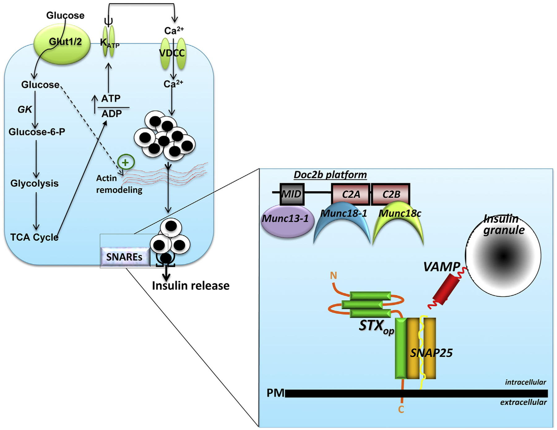 Fig. 2.