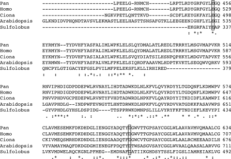 FIGURE 7.