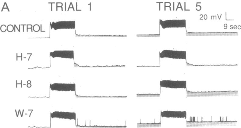 graphic file with name pnas01055-0435-a.jpg