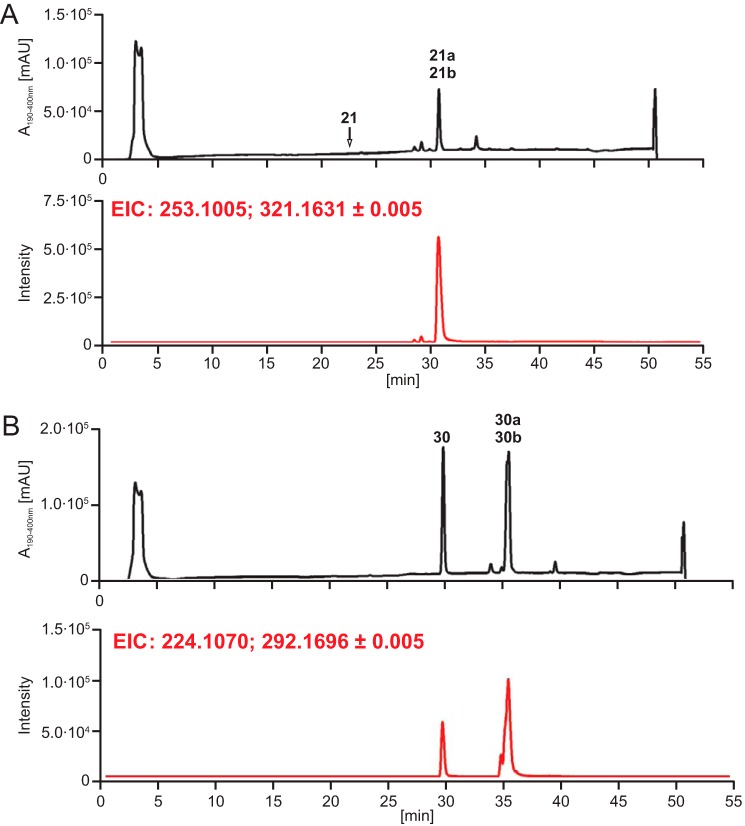 FIGURE 11.