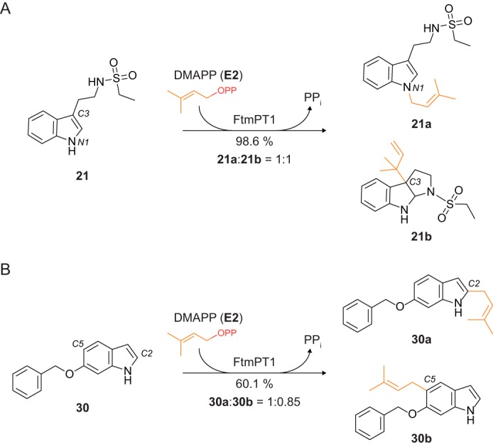 FIGURE 10.