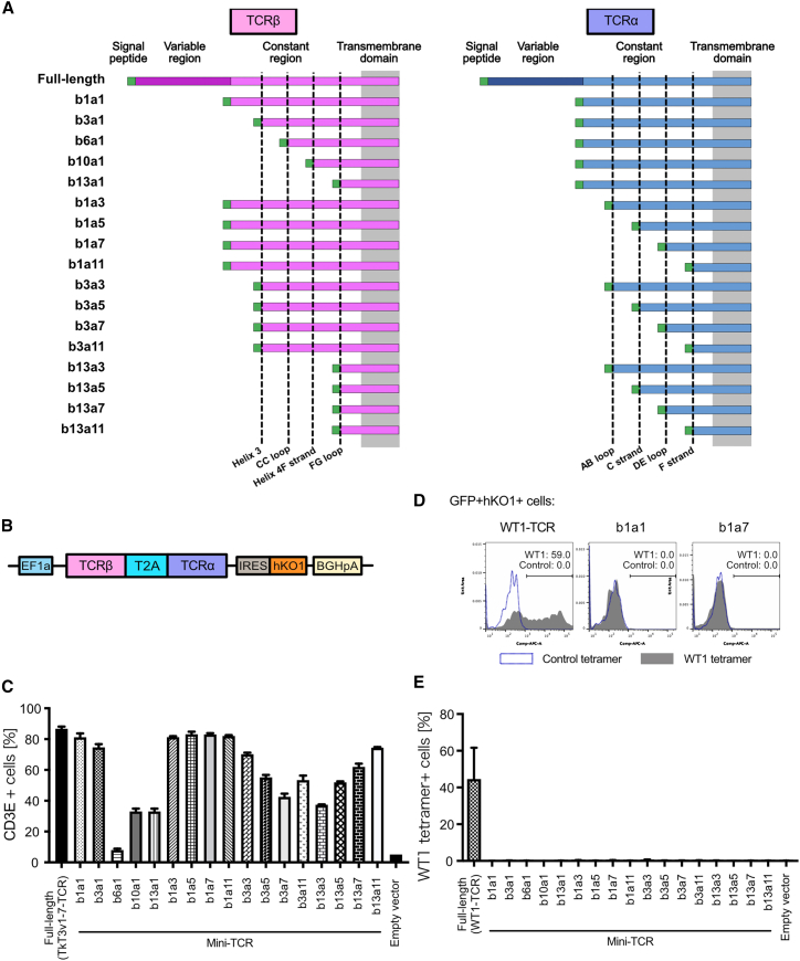 Figure 2