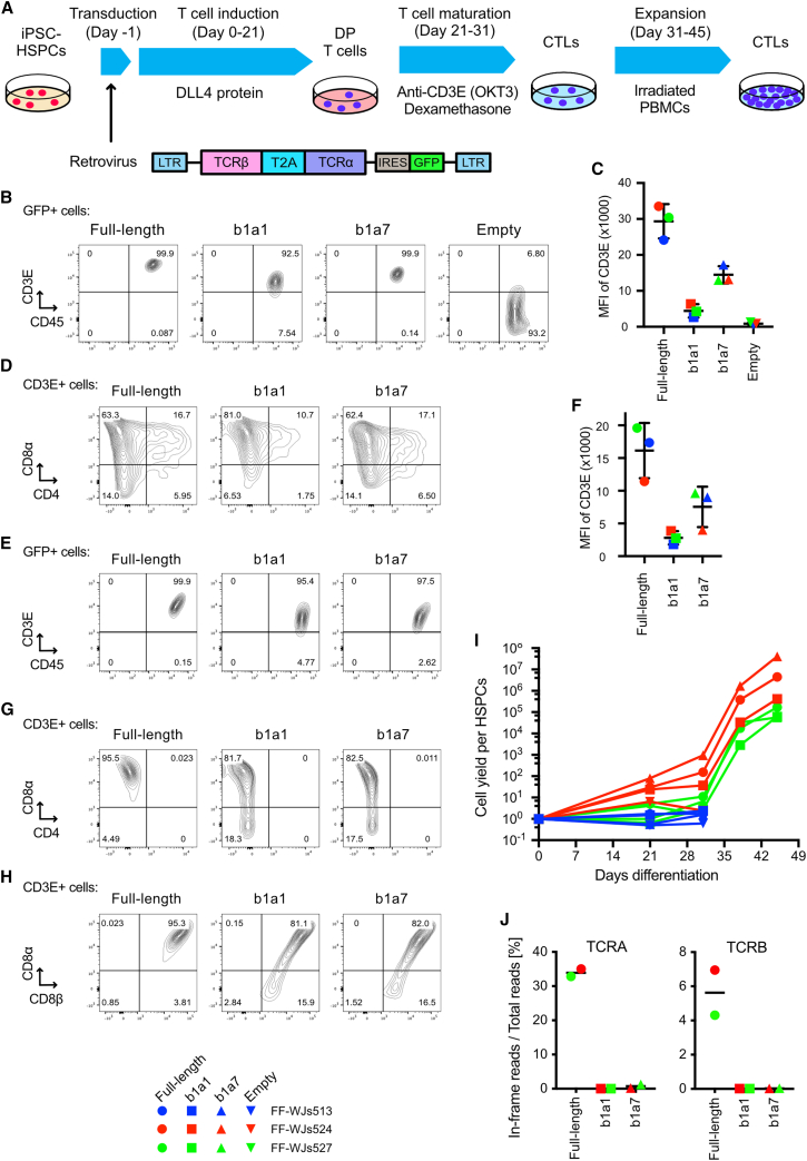 Figure 4