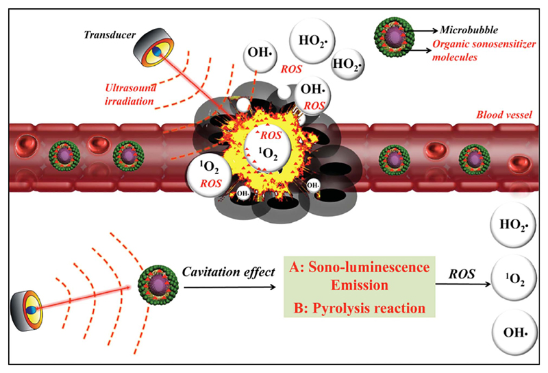 Fig. 2